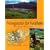 Navigation for Walkers