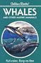 Whales and Other Marine Mammals (Golden Guides)