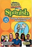 Standard Deviants School: Spanish, Program 13 - Using Possessive Adjectives (Classroom Edition)