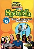 Revue Cerebellum Corp  / Standard Deviants: Spanish 13 - Using Possessive