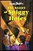  : The Secret of Spiggy Holes (Secret Series)