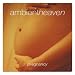Ambient Heaven: Pregnancy