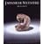 Japanese Netsuke (Victoria and Albert Museum Far Eastern series)