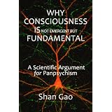 Why Consciousness Is Not Emergent But Fundamental: A Scientific Argument for Panpsychism