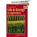 The Anatomy of Life and Energy in Agriculture