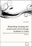 Marketing strategy for small scale wind energy turbines in India: Why don't the wind mills spin on the rooftops of Mumbai