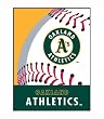 Biederlack Grand Slam Athletics Raschel Blanket