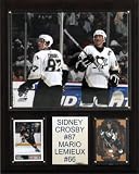 NHL Crosby-Lemieux Pittsburgh Penguins Player Plaque