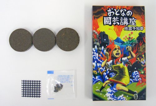 おとなの園芸講座 地震予知草
