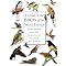 Birds (Caribbean)