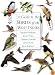 A Guide to the Birds of the West Indies