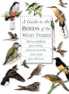 A Guide to...