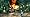 Eye of Judgment (PS3)