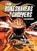 Book From Boneshakers to Choppers: The Rip-Roaring History of Motorcycles