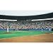 Baseball Wall Mural - 8'3