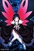 アクセル・ワールド 500ラージピース KUROYUKIHIME 500-L138