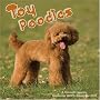 Toy Poodles 2009 Wall Calendar