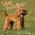 Toy Poodles 2009 Wall Calendar