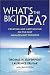 Books : What's the Big Idea? Creating and Capitalizing on the Best New Management Thinking