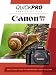 Canon T3