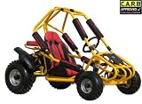 110cc Challenger 110 Mini Go Kart