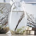 Small 5" Pod EcoSphere