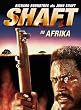 Shaft in Africa [Region 2]