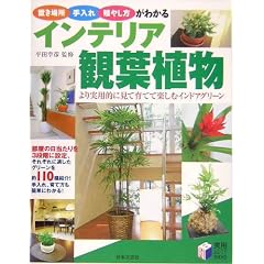 �C���e���A�ϗt�A���\�u���ꏊ�E�����E�B�₵�����킩�� (���pBEST BOOKS)