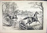 1877 Loose Horses Jumping Fence Field Country Scene
