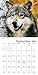 Wolves Wall Calendar (2017)