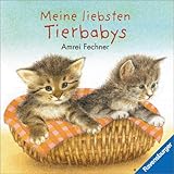 Meine liebsten Tierbabys - Amrei Fechner, Andrea Erne