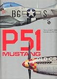 P51 Mustang