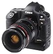 Canon EOS 1 Ds SLR-Digitalkamera Geh�use (11 Megapixel)