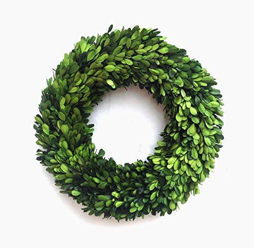 Mills Floral Boxwood Country Manor Round Wreath, 14-Inch