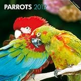 Parrots 2012 Square 12X12 Wall Calendar