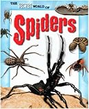 The secret world of spiders