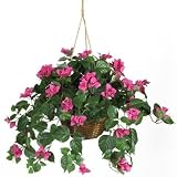 Bougainvillea Hanging Basket Silk Plant in Beauty - Nearly Natural - 6608