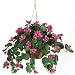 Bougainvillea Hanging Basket Silk Plant in Beauty - Nearly Natural - 6608