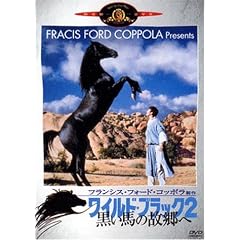 ワイルド・ブラック2/黒い馬の故郷へ