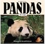 Pandas for Kids (Wildlife for Kids Series)