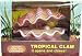 TROPICAL CLAM