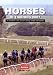 Horses in Training