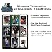 Burbank Sportscards Minnesota Timberwolves 'Greats of the Game' Collector's Set