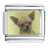Animal Photo Chihuahua Italian Charms Bracelet Link