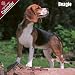 2009 Beagle Wall Calendar