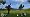 Tiger Woods PGA Tour 11