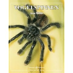 Vogelspinnen