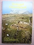 Excavations at Tintagel parish churchyard Cornwall, spring 1990 : interim report