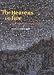 The Heavens on Fire: The Great Leonid Meteor Storms
