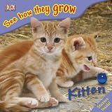 Kitten (See How They Grow)